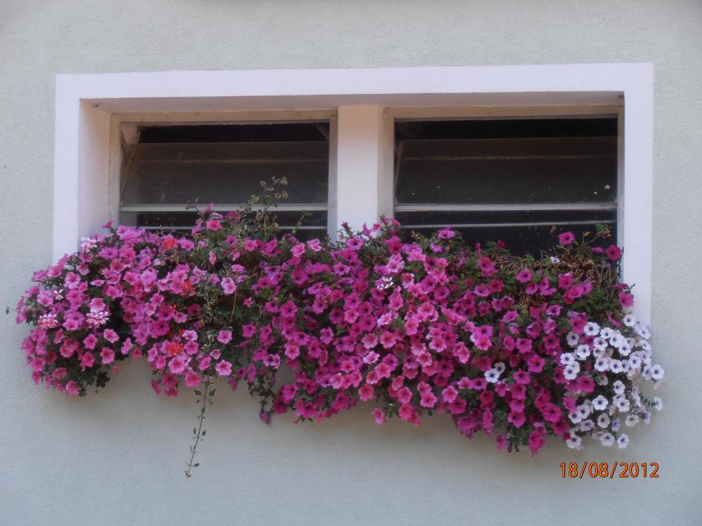 Huberbauer Villa Johnsbach Екстериор снимка