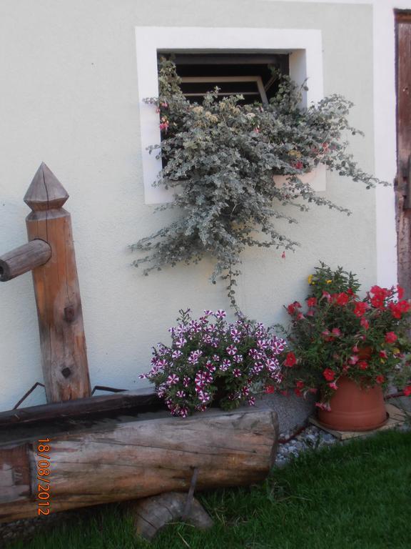 Huberbauer Villa Johnsbach Екстериор снимка