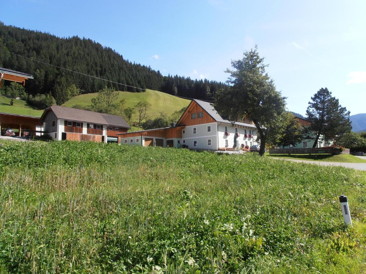Huberbauer Villa Johnsbach Екстериор снимка