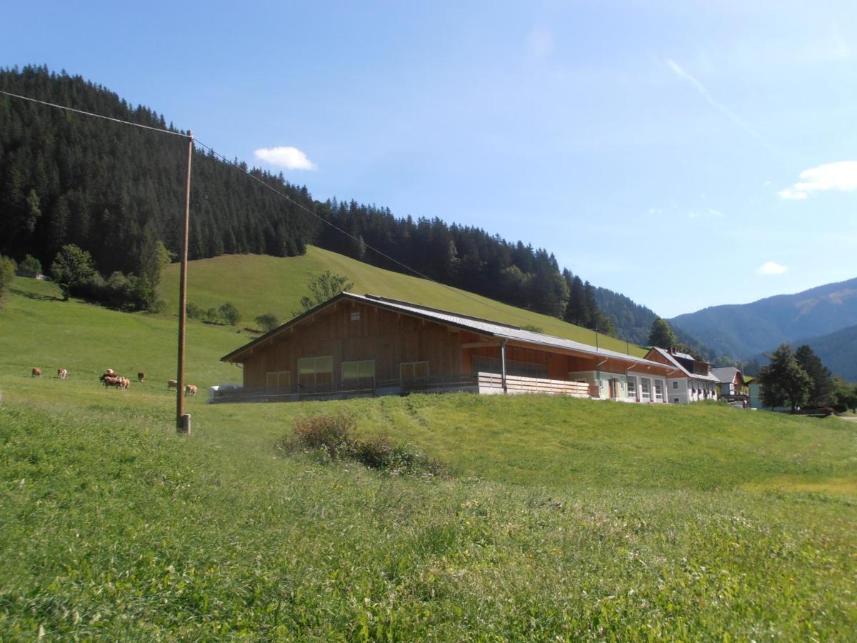 Huberbauer Villa Johnsbach Екстериор снимка